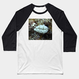 White and Purple Lettuce Sea Slug Baseball T-Shirt